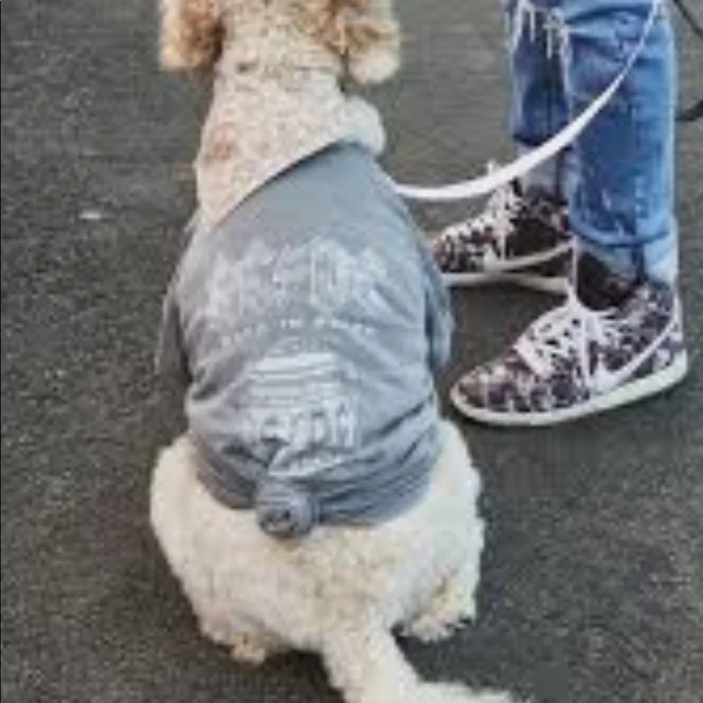 Typo AC/DC Dog  T Shirt
